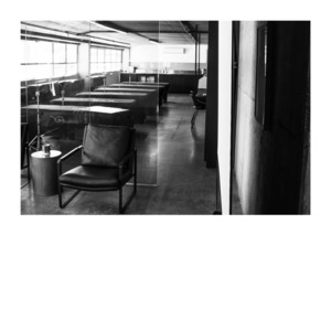 Brow Shape Colour & Map Introductory Workshop