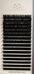 Products: D Curl .07 lash trays ⋆ Lashworx