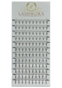 Premade 6D .05 C Curl Lash Trays ⋆ Lashworx