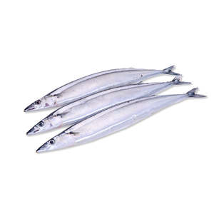 Last Cast: ADDICTION OUTDOORS - SANMA