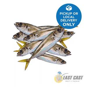 Bait: ADDICTION OUTDOORS - JACK MACKEREL BAIT BAG FROZEN 5KG