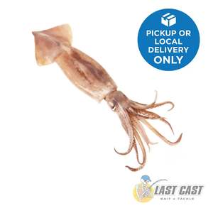 Bait: ADDICTION OUTDOORS - BIG ARROW SQUID XL BAIT BAG 5KG