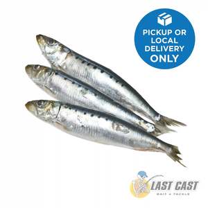 Bait: SEAWORK - RAZORBELLY PILCHARDS BAIT BAG/BOX FROZENp