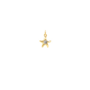 Starfish Charm