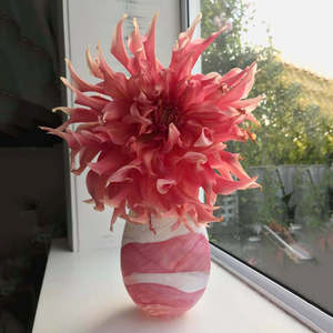 Pink & White Terraces Teardrop Regular