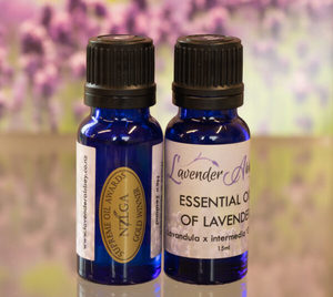 BEST IN NZ Lavender Essential Oil - 'Grosso' Lavender Abbey