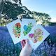 Natural Illustration Greeting Cards