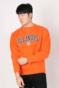 Vintage University of Illinois Fighting Illini Crewneck L