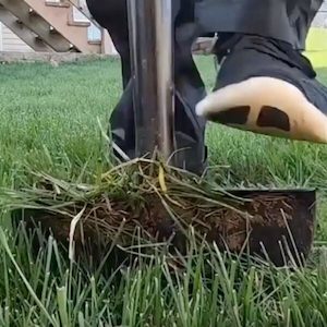 Products: Manual Lawn Edging Tool & Save NZ Wide Delivery