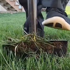 Products: Manual Lawn Edging Tool & Save NZ Wide Delivery