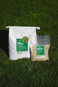 Tall Fescue Bundle New Lawn up to 100m2