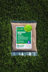 BrownTop Lawn Seed