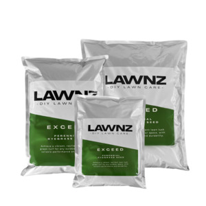 Grass Seed: Exceed Perennial Ryegrass Seed