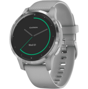 Garmin Vivoactive 4S Watch (Gray-Silver)