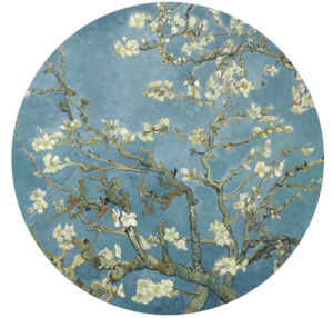 Almond Blossom Circle Wallpaper