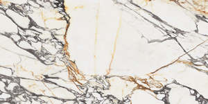 Wall Tiles: Corchia Gold 60x120
