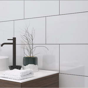 Maxim White Gloss 25x40