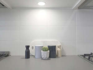 Wall Tiles: White Matt Wall 20x40