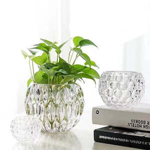Vase: Dadu Crystal Glass Embossed Mini Vase/Plant Pot
