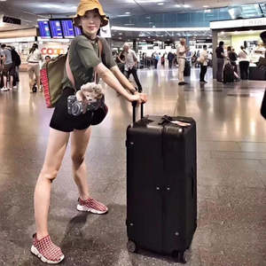 Homeware: Travel Luggage