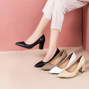 Shoes: Fashion Women's Chunky Heel Pointed Work Shoes