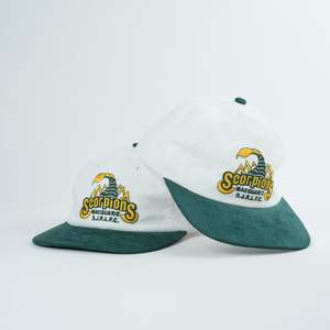 All: Scorpions Retro Lid