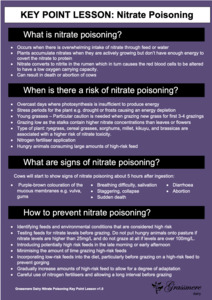 Nitrate Poisoning Key Point Lesson