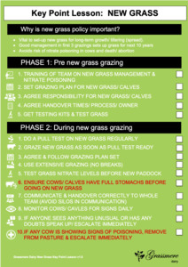 New Grass Management Process Chart