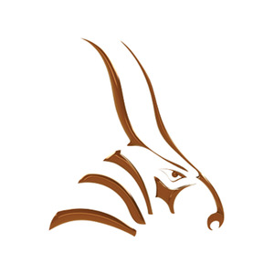 Bongo - LEAP Australia Pty