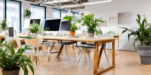 4098 Workplace Assessor