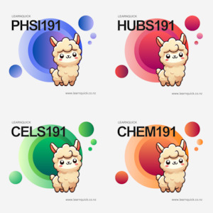 HSFY Bundle – LearnQuick