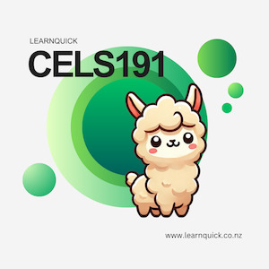 CELS191 – LearnQuick