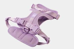 Harness - Lavender Purple
