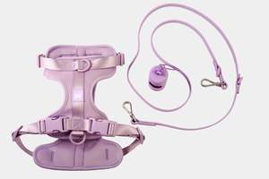 Harness Walk Kit - Purple