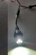 BMW LED angel eye bulbs E39