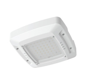 Led Highbays: LED Canopy Light IP65 Power and Colour Selectable