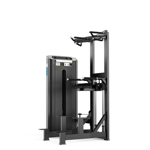 Dip/Chin Assist Machine Commercial Machine - Lee Warehouse
