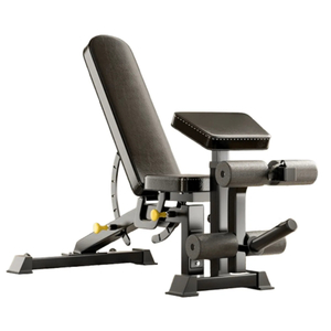 Adjustable Bench with preachers curl