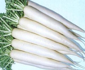 Radish Daikon - TROY - Lefroy Valley