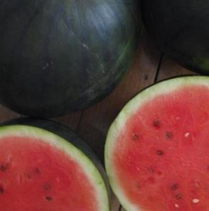 Products: Watermelon Seeded - SUGARSWEET - Lefroy Valley