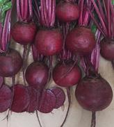 Beetroot - BUZZARD - Lefroy Valley