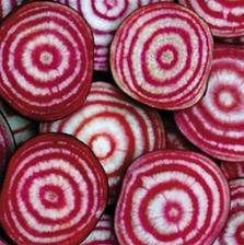 Beetroot - PSYCHO - Lefroy Valley