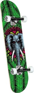 Completes: Powell Peralta - Vallely Elephant Green Complete