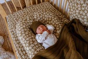 Fitted Cot Sheets: Fitted Cot Sheet | Elderflower