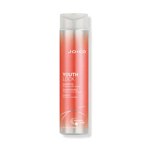Joico: Joico Youth Lock Shampoo