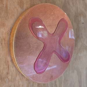 GINGER KISS Pretty in Pink