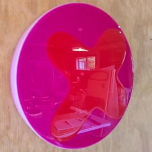 GINGER KISS Hot Stuff