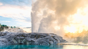 Products: Waitomo, Rotorua and Hobbiton 4 Day Package