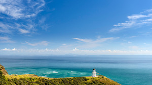 Products: Bay of Islands 3 Day Tour