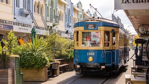 Products: Southern Wonders